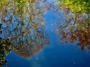 The canal is a mirror