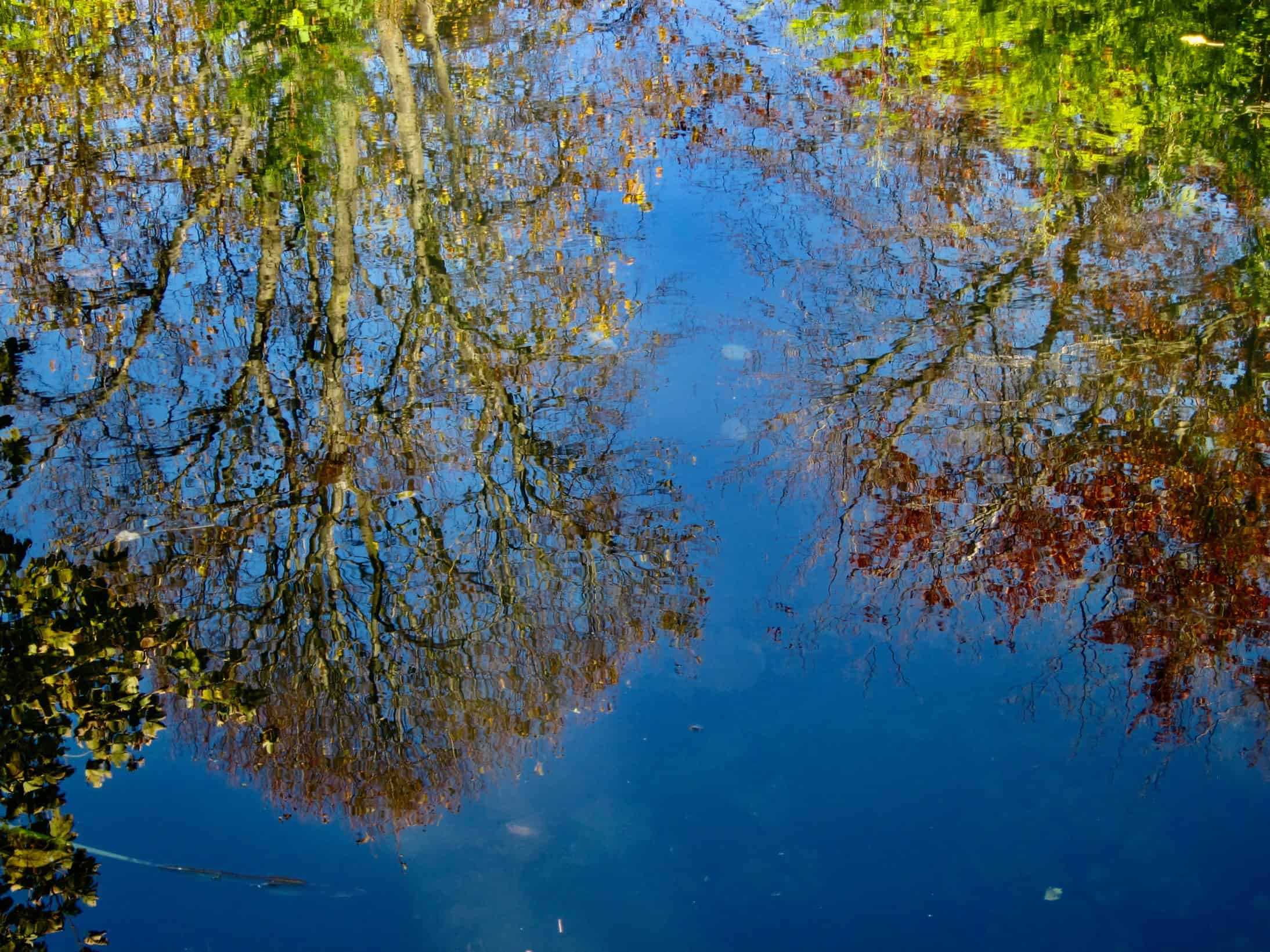 Reflections in the mirror on the canal.