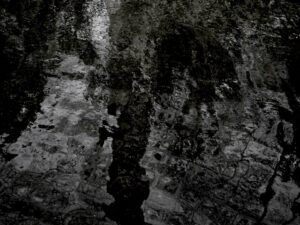 The dual of the individual and the shadow