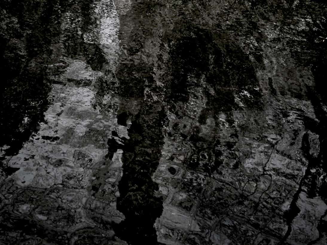 The dual of the individual and the shadow